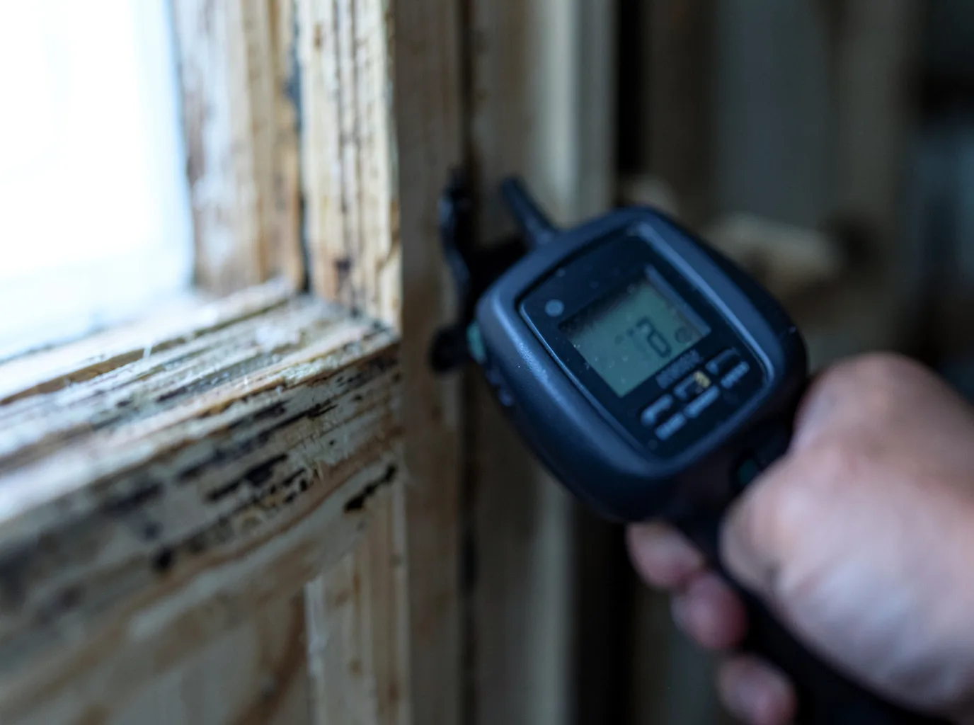 Moisture Inspection And Documentation in Myrtle Point, OR